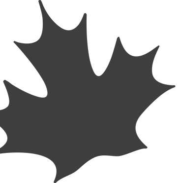 Maple Leaf (used for design)